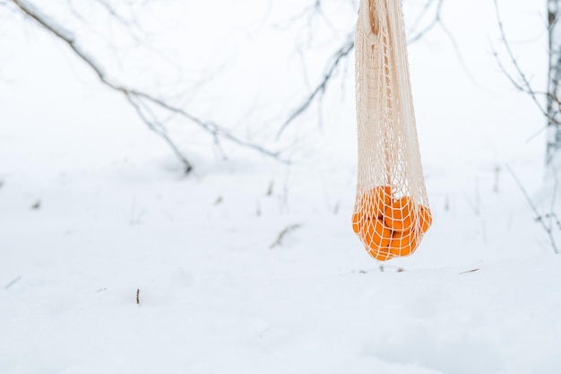 Tangerines in a string bag hang on a branch against the backdrop of snow Picnic in winter in winter forest