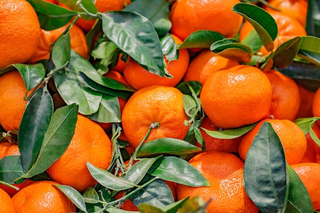 Tangerines with green leaves whole in bulk on market selective focus