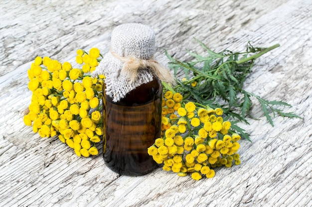 Tansy Tanacetum vulgare and pharmaceutical bottle