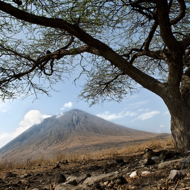 Tanzani volcano, Ol Doinyo Lengai, Tanzania, Africa