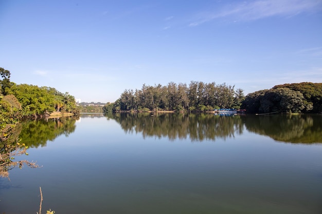 Taquaral Park in Campinas, So Paulo. beautiful trees and lush nature