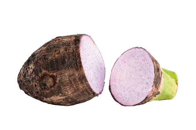 Taro root and slice isolated on white background