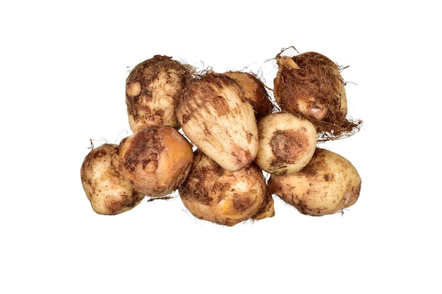 Taro roots Isolated on White Background with Clipping Path