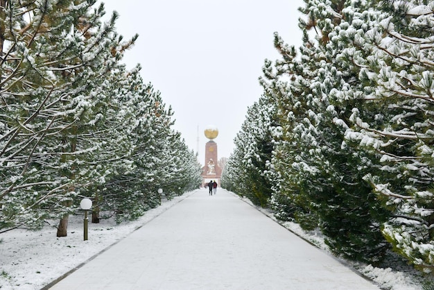 Tashkent Uzbekistan December 2020 Pine alley leading to the Grieving Mother Monument