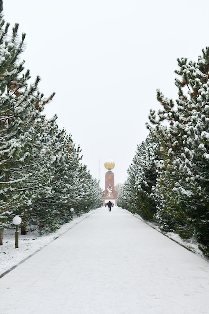 Tashkent Uzbekistan December 2020 Pine alley leading to the Grieving Mother Monument