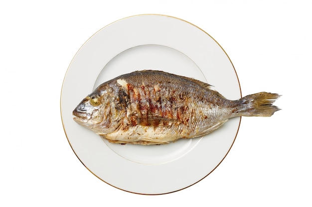 Tasty appetizing dorado fried fish lies on a white plate