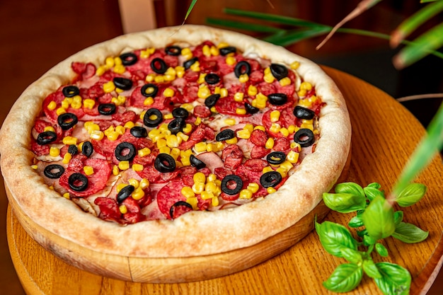 Tasty and big pizza with different types of meat Pizza with sausage ham corn and olives