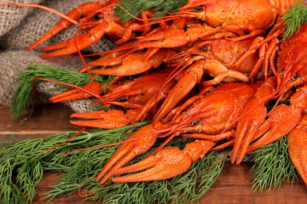 Tasty boiled crayfishes with fennel on table on sackcloth background