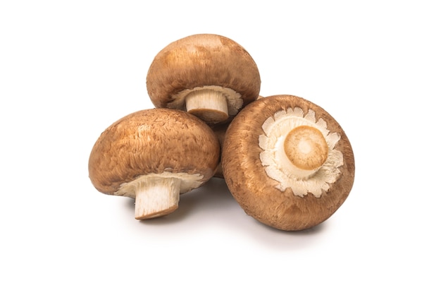 Tasty champignon mushroom isolated