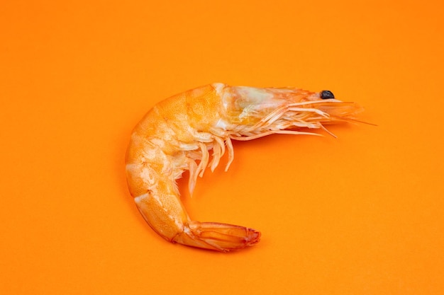 Tasty fresh Shrimp or Prawn on the orange background.
Close up photo. Healthy seafood. Minimalism, original and creative image. Beautiful natural wallpaper.