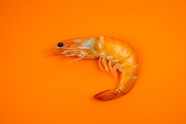 Tasty fresh Shrimp or Prawn on the orange backgroundxAClose up photo Healthy seafood Minimalism original and creative image Beautiful natural wallpaper