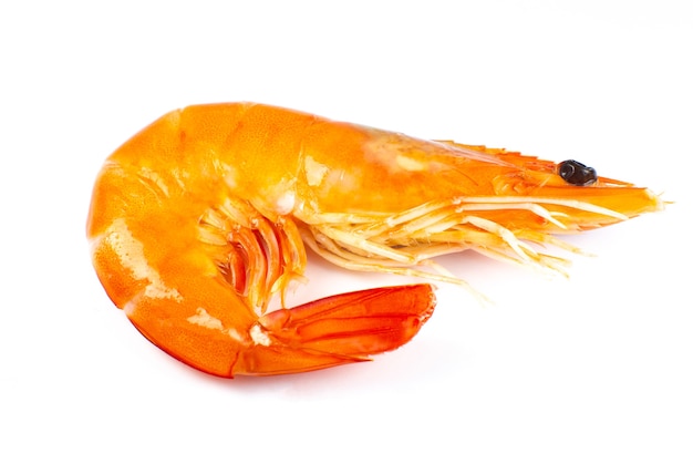 Tasty fresh Shrimp or prawn on white background.
Close up photo.