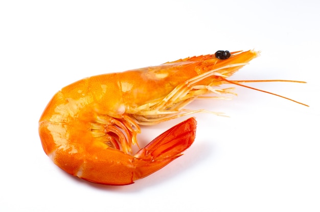 Tasty fresh Shrimp or prawn on white background.
Close up photo.