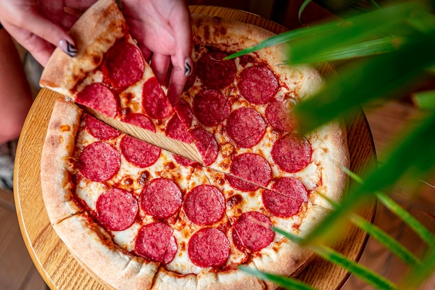 Tasty pepperoni pizza and cooking ingredients tomatoes basil