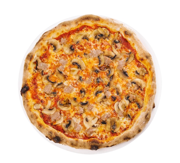 Tasty pizza with minced meat top view