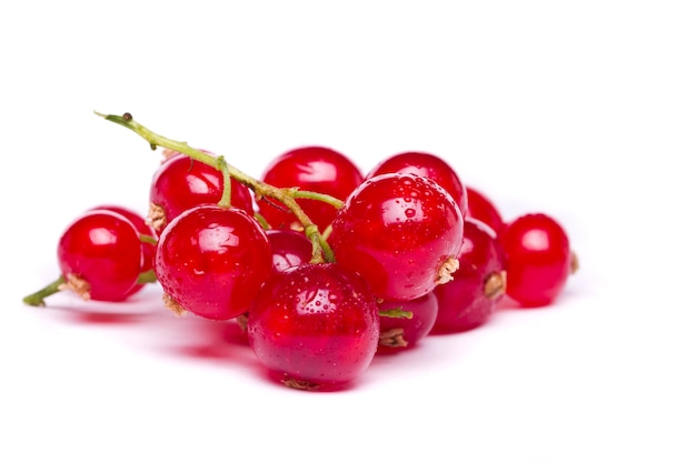 Tasty red currant berries