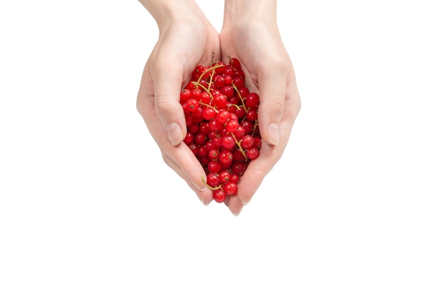 Tasty red currant in woman hand isolated on white background. Top view.