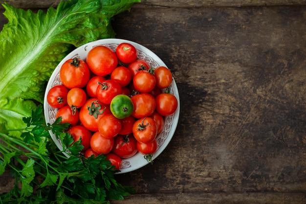 Tasty red, yellow and green tomatoes with green verdure on plate