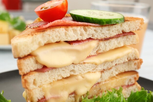 Tasty sandwich with cheese and sausage closeup