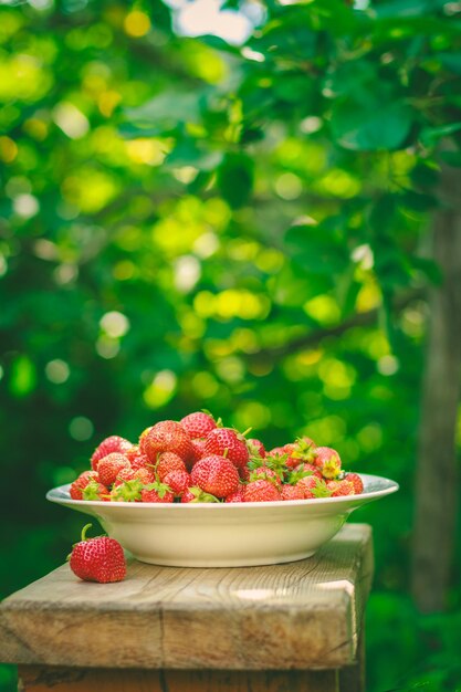 Tasty strawberries on plate in garden