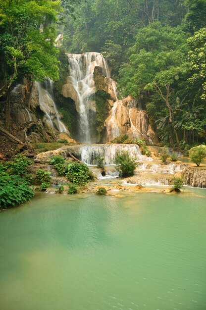 Photo tat kuang si waterfalls or kuang xi falls for laotian people and foreign travelers travel visit and play swimming shallow water pools atop a steep hillside in nation park at luang prabang laos