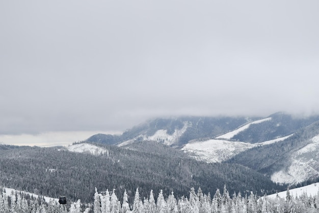 Tatras View of the snowy Tatras winter forest of the Tatras