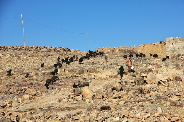 Tawila village in mountains Yemen