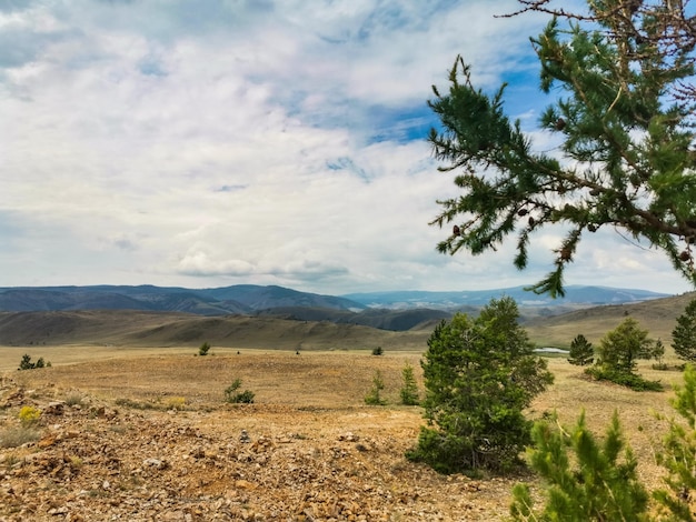 The Tazheran steppe near Lake Baikal on a summer day before a thunderstorm Russia