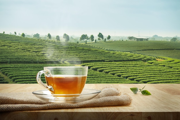 Tea cup with and tea leaf sacking on the wooden table and the tea plantations background