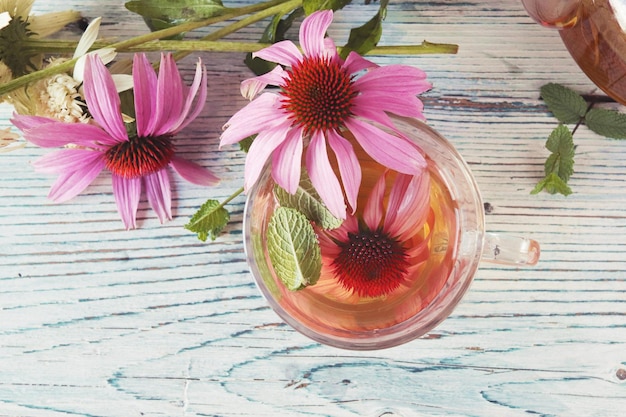 Tea from fresh flowers of echinacea and mint, on a wooden table, medicinal herbs