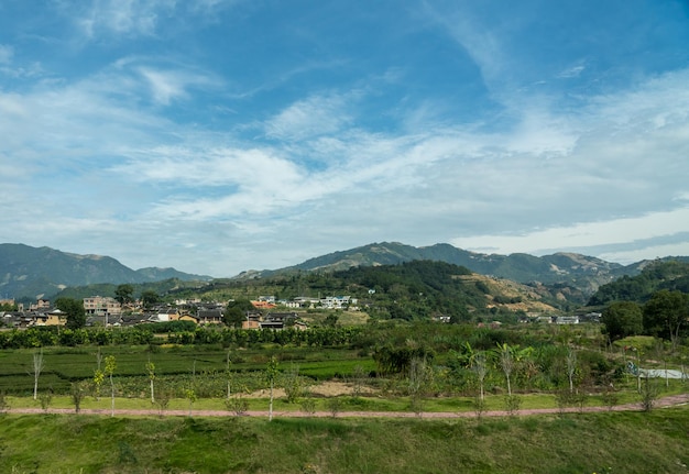 Tea plantations around Tulou at Unesco heritage site near Xiamen