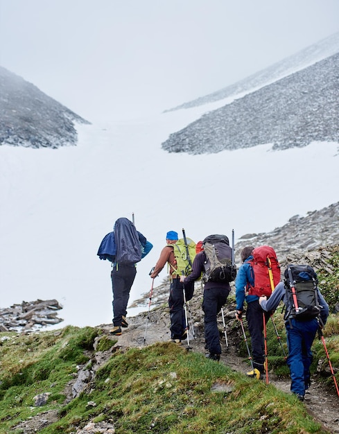 Team of hikers walking on mountain path.