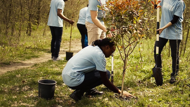 Team of volunteers planting trees in the forest by digging holes in the ground