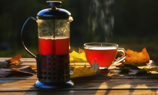 Teapot with tea and cup near autumn leaves