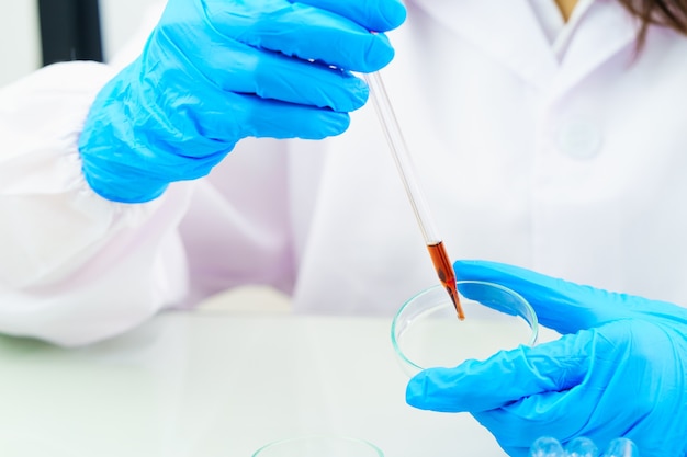 technician scientist analyzing blood sample in test tube in laboratory for testing virus analysis