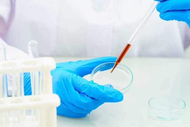 Technician scientist analyzing a blood sample on tray in laboratory for testing