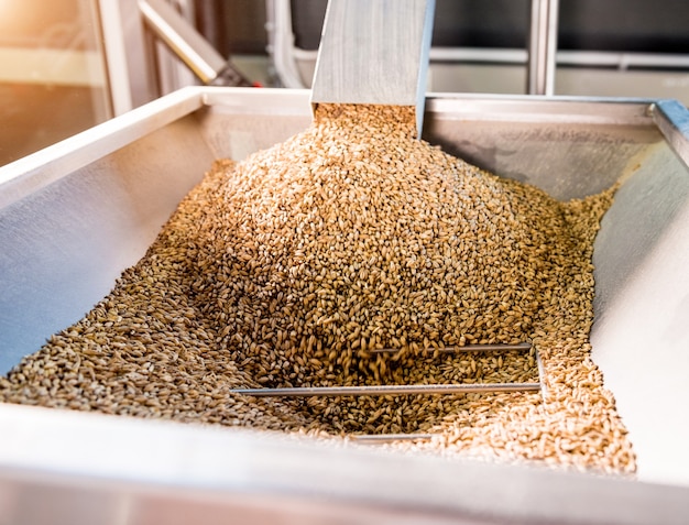 The technological process of grinding malt seeds at the mill