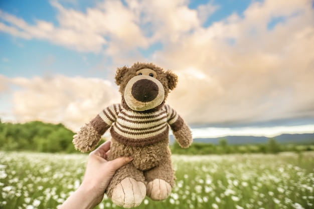 Photo a teddy bear holding a man's hand on a background of a meadow with daisies and the sky