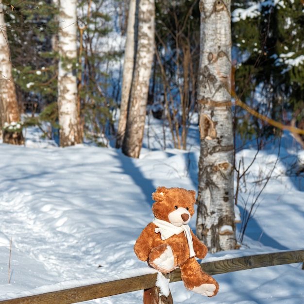 Teddy bear in knitted scarf sits on wooden fence in forest