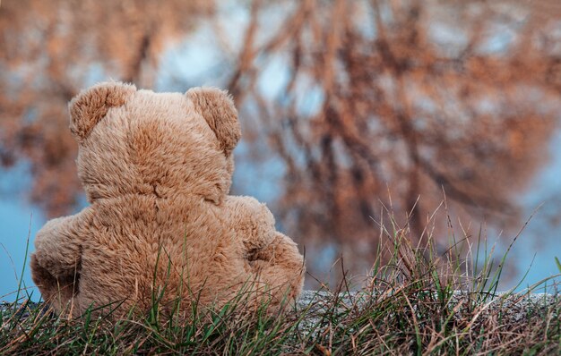 Photo a teddy bear on the lake watching the reflections of trees in the water.