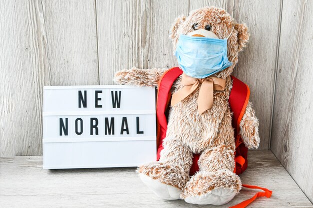 Teddy bear wearing mask with backpack