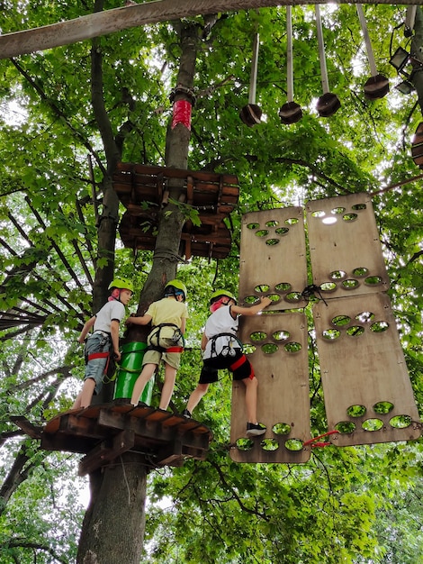 Teenage boys are climbing on a hanging rope park in trees on an obstacle course