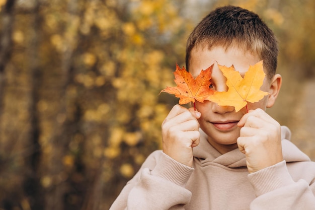 Teenager boy hiding his eyes behind maple leaves Child holding yellow autumn leaves in his hands Teen having fun on walking in autumn park Selective focus