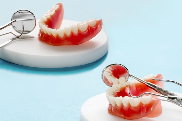 Teeth model showing an implant crown bridge model/ dental demonstration teeth study teach model.