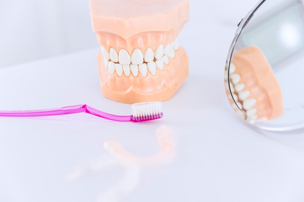 Teeth model with toothbrush; mirror and teeth aligner on table