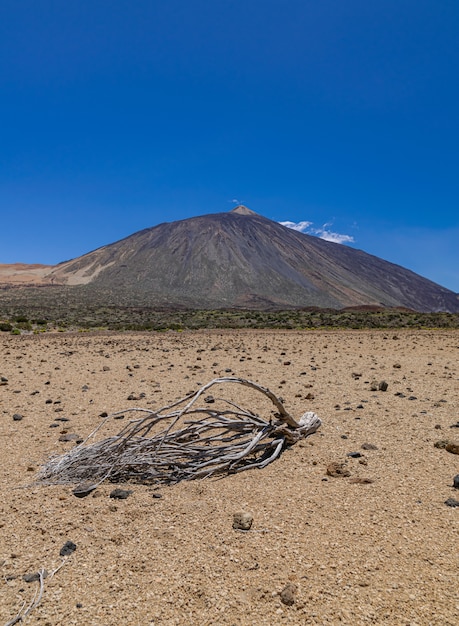 Teide national park, Tenerife, Canary islands, Spain