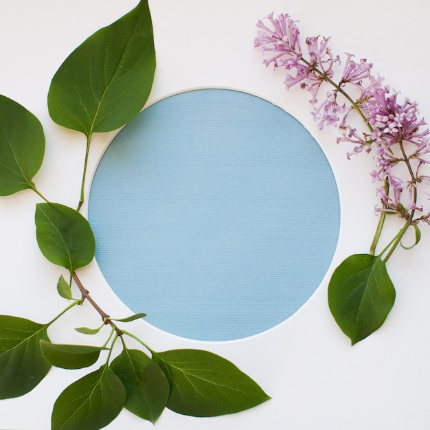 Template Made Of Leaves, Blooming Lilac Flowers, And A Round Frame On White Background