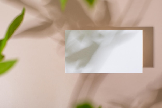 Template paper with green plant shadow on pastel beige background great design for any purposes abs