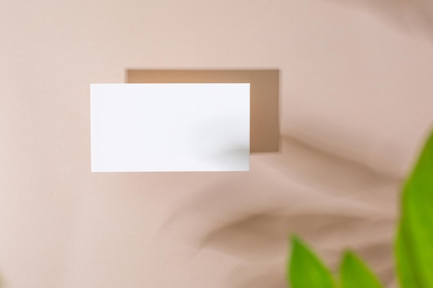 Template paper with green plant shadow on pastel beige background great design for any purposes abs