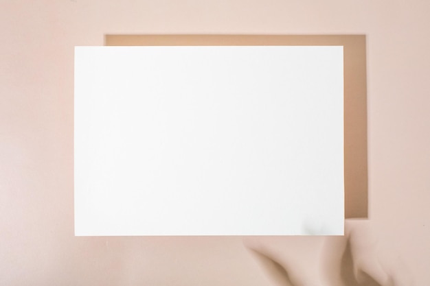 Template paper with green plant shadow on pastel beige background great design for any purposes abs